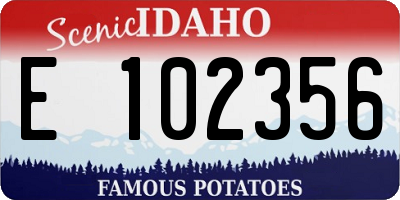ID license plate E102356