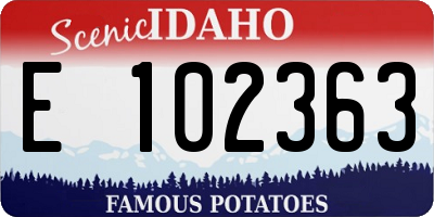 ID license plate E102363