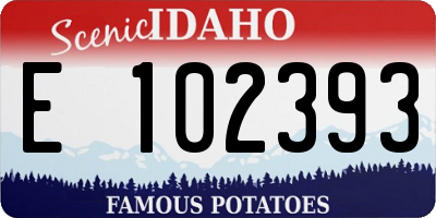 ID license plate E102393