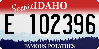 ID license plate E102396
