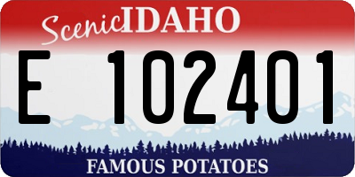 ID license plate E102401