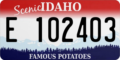 ID license plate E102403