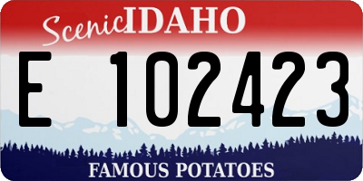 ID license plate E102423