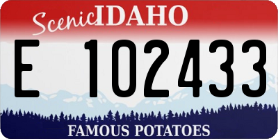 ID license plate E102433