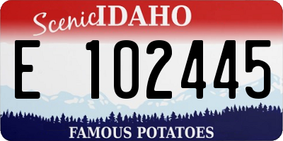 ID license plate E102445