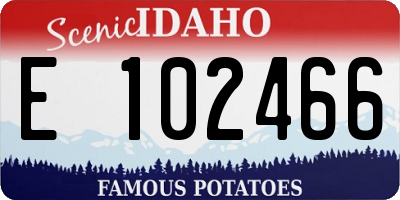 ID license plate E102466