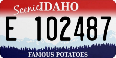ID license plate E102487
