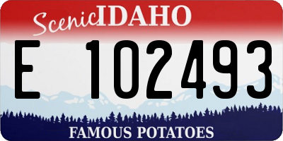 ID license plate E102493