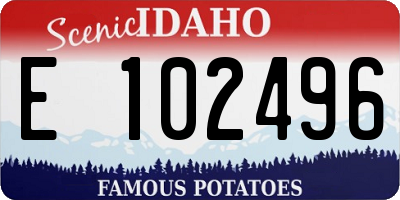 ID license plate E102496