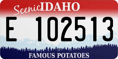 ID license plate E102513