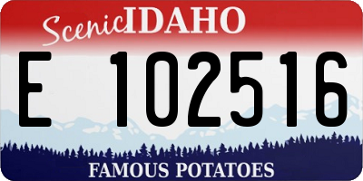 ID license plate E102516