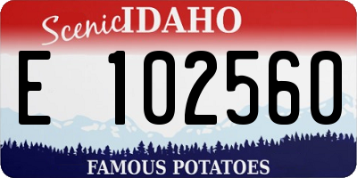 ID license plate E102560