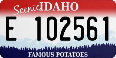 ID license plate E102561