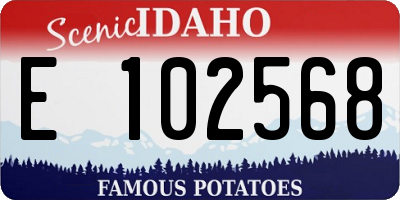 ID license plate E102568