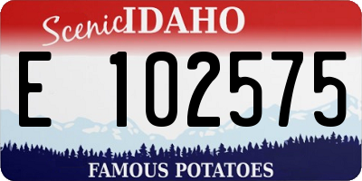 ID license plate E102575