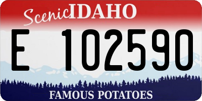 ID license plate E102590