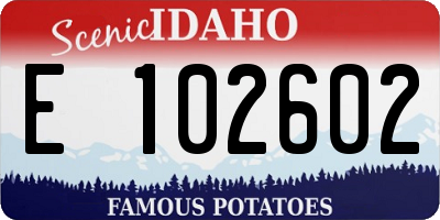 ID license plate E102602