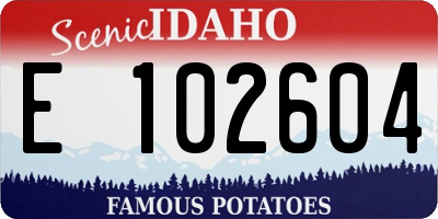 ID license plate E102604