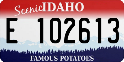 ID license plate E102613