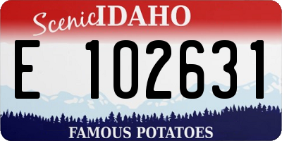 ID license plate E102631