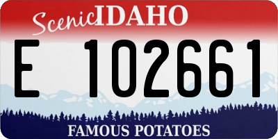 ID license plate E102661