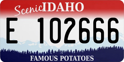 ID license plate E102666