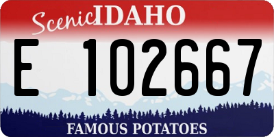ID license plate E102667