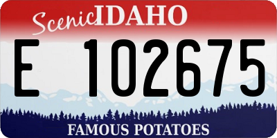 ID license plate E102675