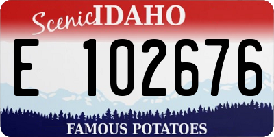 ID license plate E102676