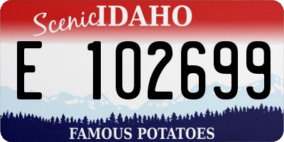 ID license plate E102699