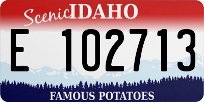 ID license plate E102713