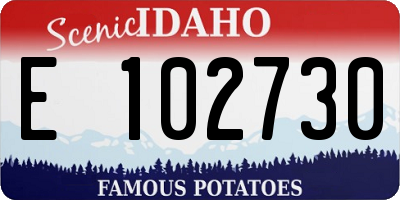 ID license plate E102730