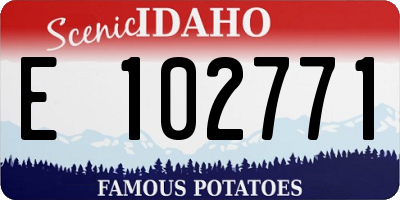 ID license plate E102771