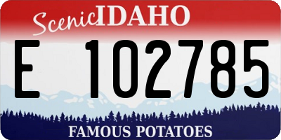 ID license plate E102785