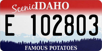 ID license plate E102803