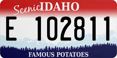 ID license plate E102811