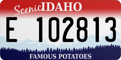 ID license plate E102813