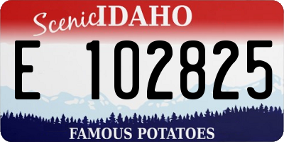 ID license plate E102825