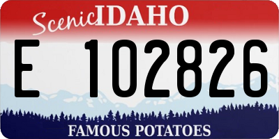 ID license plate E102826