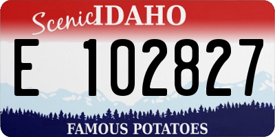 ID license plate E102827