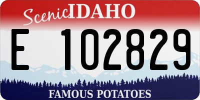 ID license plate E102829