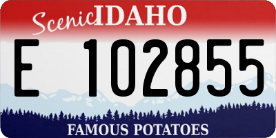 ID license plate E102855