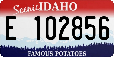 ID license plate E102856