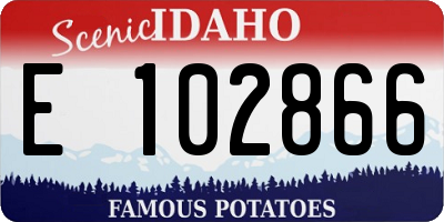 ID license plate E102866