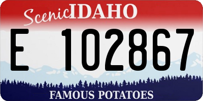 ID license plate E102867