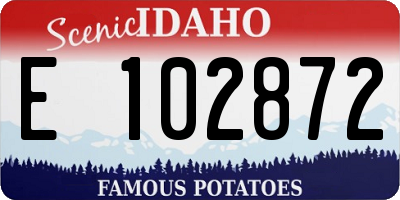ID license plate E102872