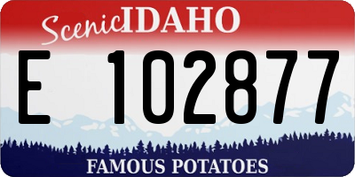 ID license plate E102877
