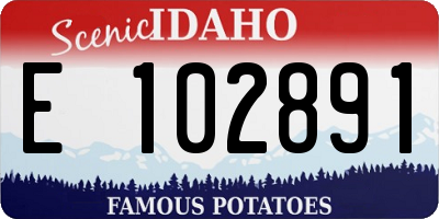 ID license plate E102891