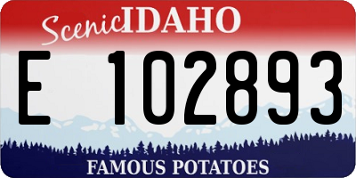 ID license plate E102893