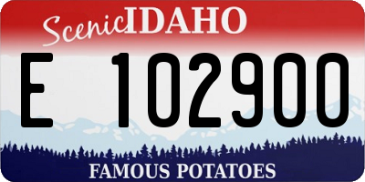 ID license plate E102900